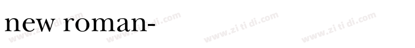 new roman字体转换